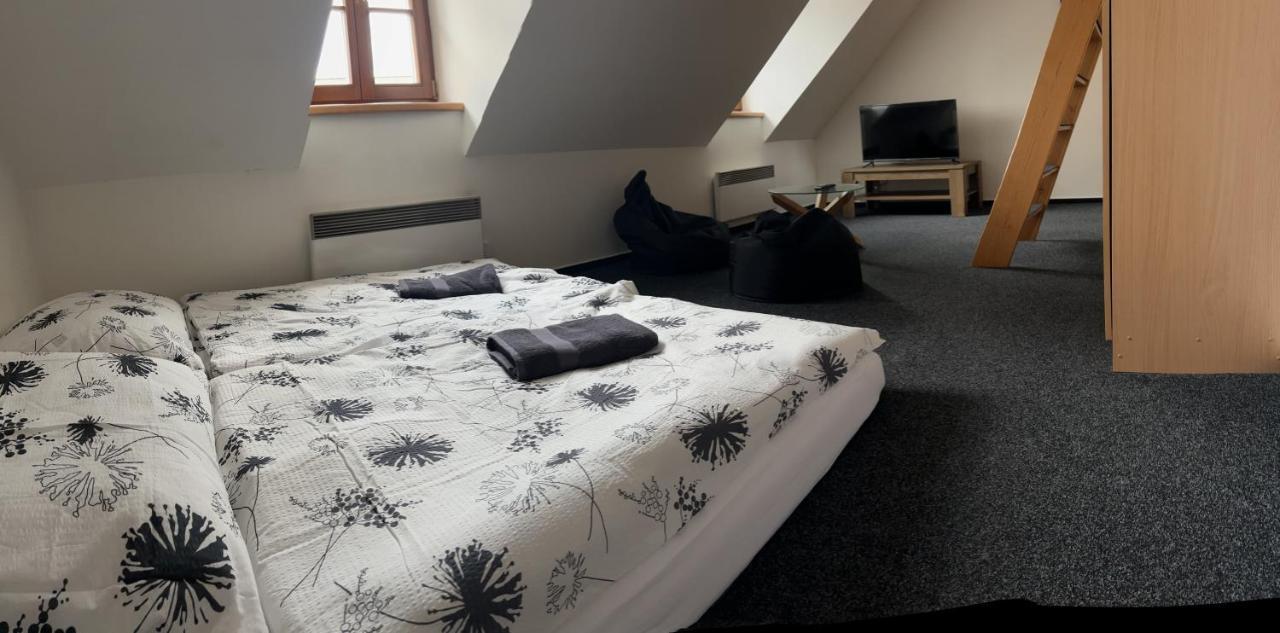 Apartmany U Vodniho Hradu Česká Lípa Zewnętrze zdjęcie