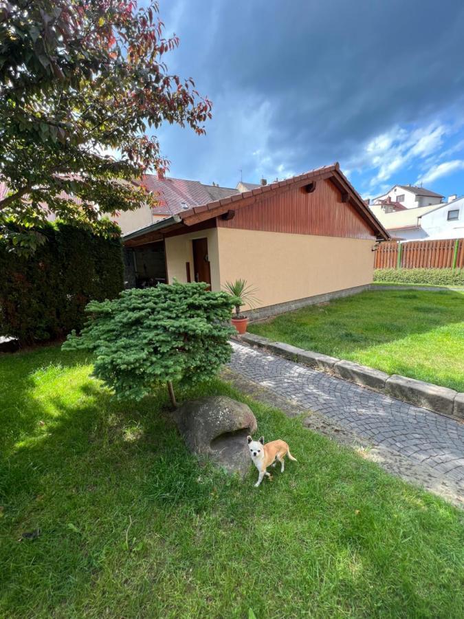 Apartmany U Vodniho Hradu Česká Lípa Zewnętrze zdjęcie